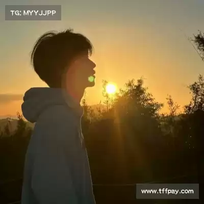 陶桐玫
